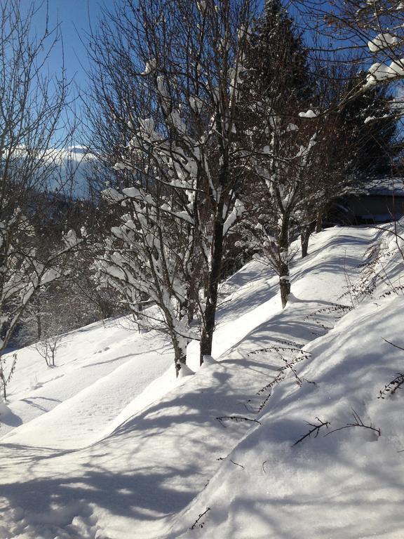 Chalet Eterlou Megevette Bagian luar foto